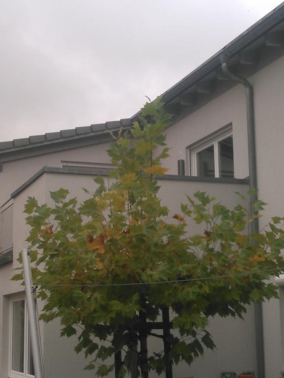 Ferienwohnung Zum Kletterturm เคาฟ์บอยเริน ภายนอก รูปภาพ